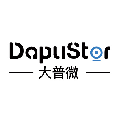 DapuStor