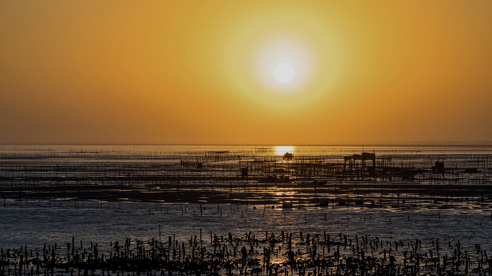 創造人與土地更好的連結