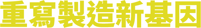 重寫製造新基因