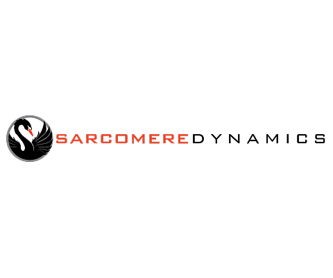 Sarcomere Dynamics